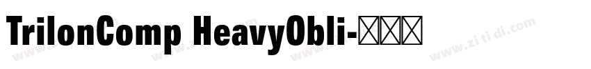 TrilonComp HeavyObli字体转换 TrilonComp HeavyObli字体转换